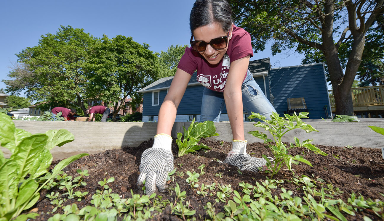 philanthropy-banner-volunteer-garden