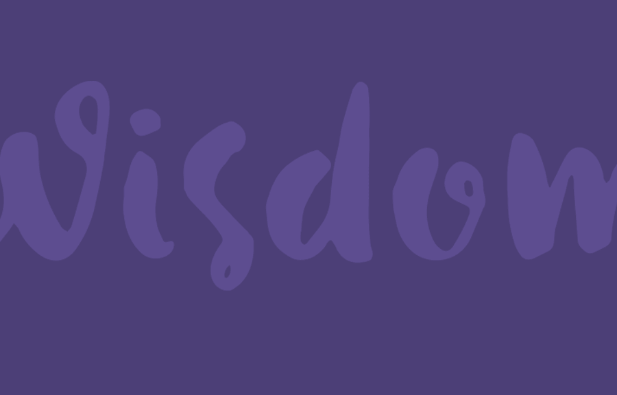 wisdom study banner news