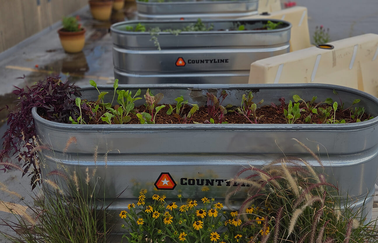 Community-Garden-Header-Image