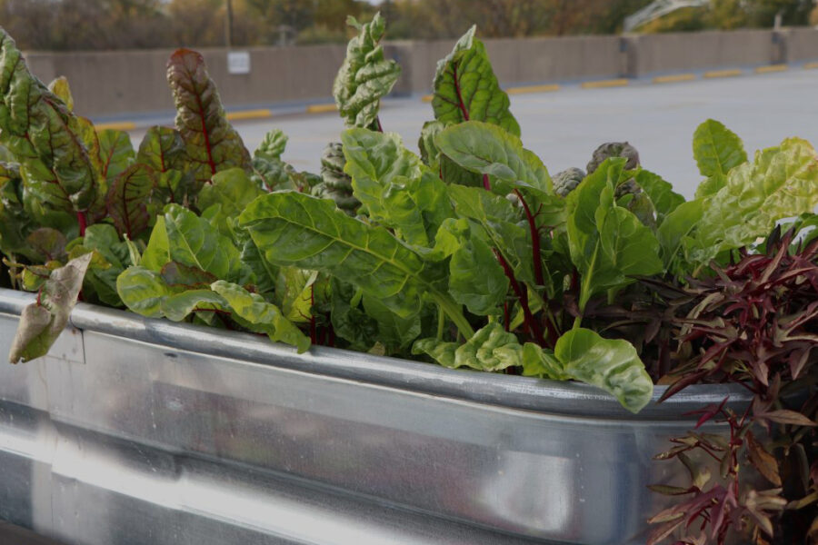 Garden-News-Post